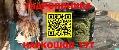 Альфа ПВП Будённовск