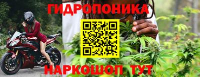 Альфа ПВП Будённовск