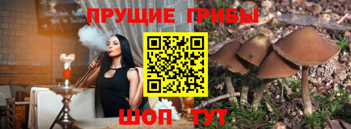 Галлюциногенные грибы мицелий Прохладный